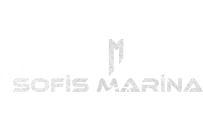 sofis logo
